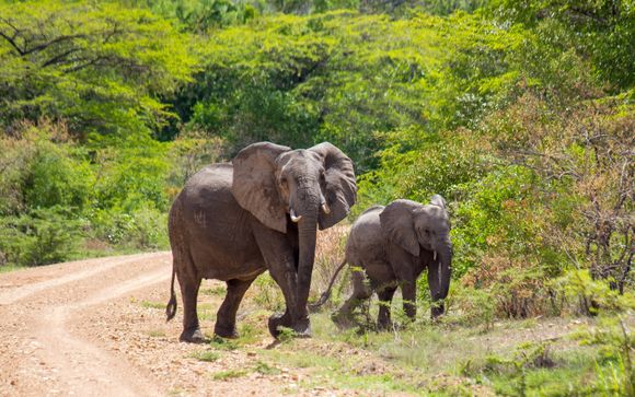 L'anteprima del vostro viaggio