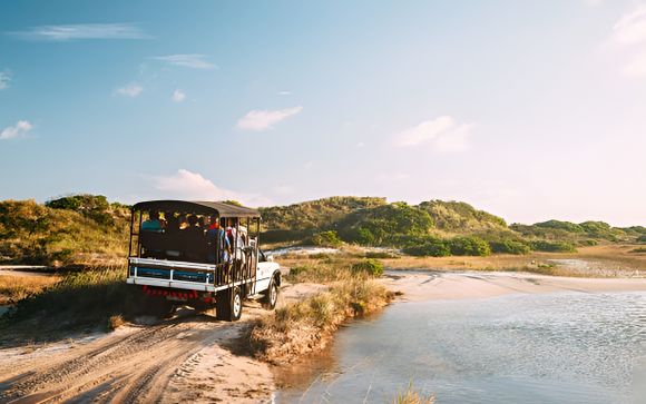 Safari Bayaguana Runner