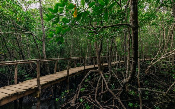 Escursione di mezza giornata nella foresta di Jozani