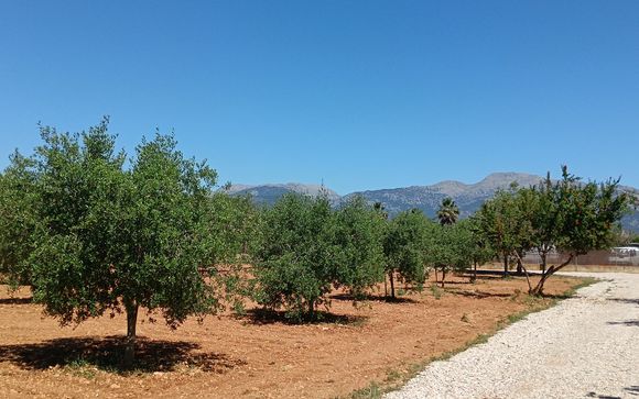 La vostra opzione inclusa