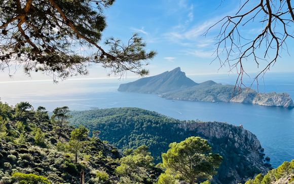 Escursione a Sa Dragonera, l'isola delle mille lucertole