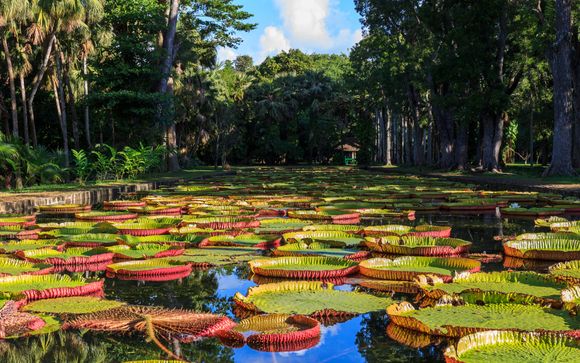 Giardini di Pamplemousses, Port Loius e i tesori dell'oceano