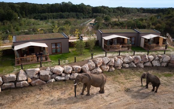 Terres d'Afrique - Thoiry ZooSafari