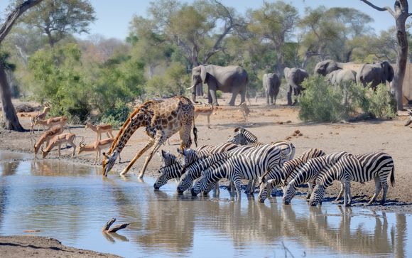 I vostri programmi di avventura alla scoperta del Sudafrica dal Turaco Lodge