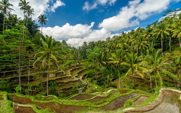 Benvenuti in Indonesia!