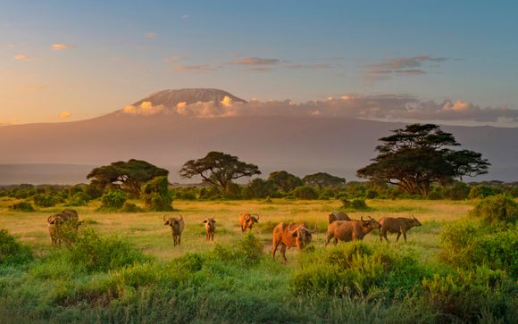 La vostra sistemazione durante il safari