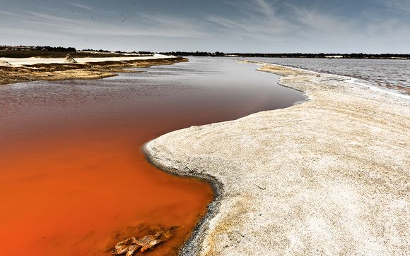 Aggiungi un'opzione al tuo viaggio