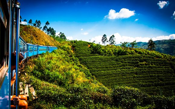 Tour dello Sri Lanka e soggiorno mare a Wadduwa