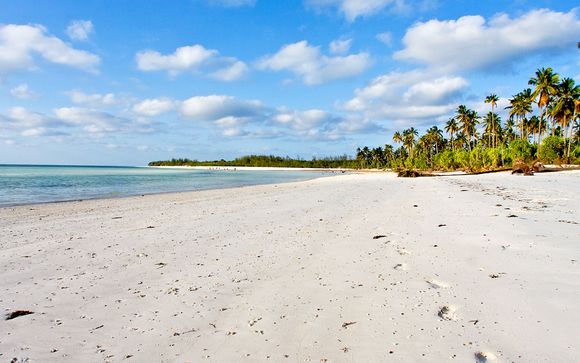 Alla scoperta di Zanzibar