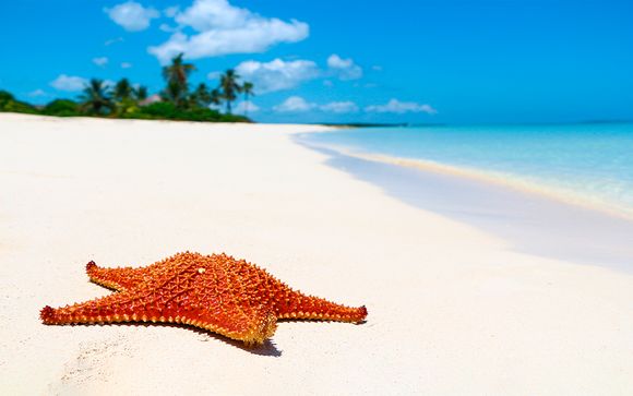 Hotel Nacional de Cuba L'Avana 4*S + IBEROSTAR Ensenachos 5*
