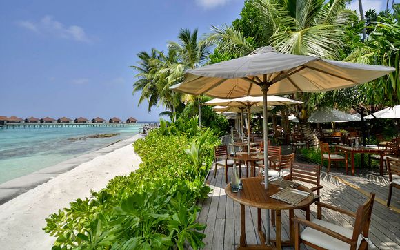 Maldive - Il Robinson Club Maldives 4* - Adults Only