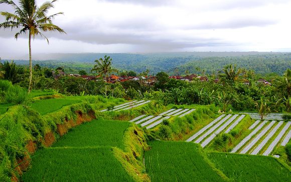 Alla scoperta di Bali