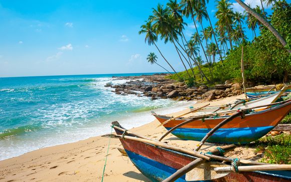 Tour privato alla scoperta delle meraviglie naturali dello Sri Lanka