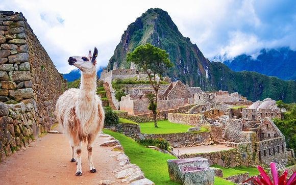 Il paese degli Incas tra natura, storia e tesori