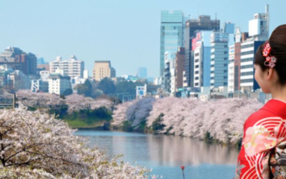 Escursioni e esperienze a Tokyo
