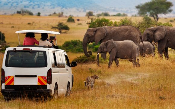 I Safari