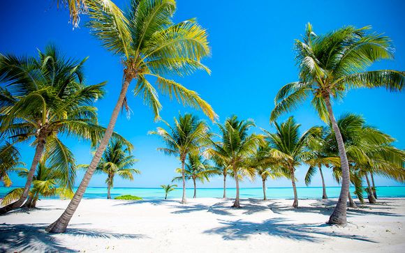 Alla scoperta di Punta Cana