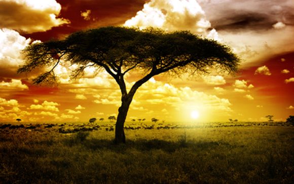 Alla scoperta del Sudafrica