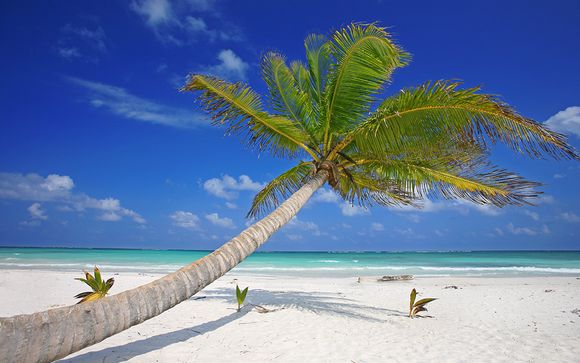 Alla scoperta di Riviera Maya
