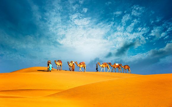 Lusso a 5* con crociera, tour della città e safari nel deserto
