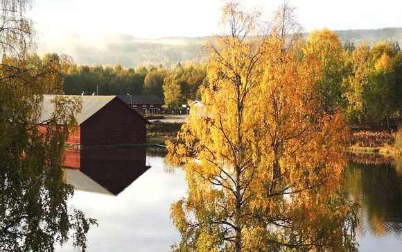 L'estate svedese tra città e natura