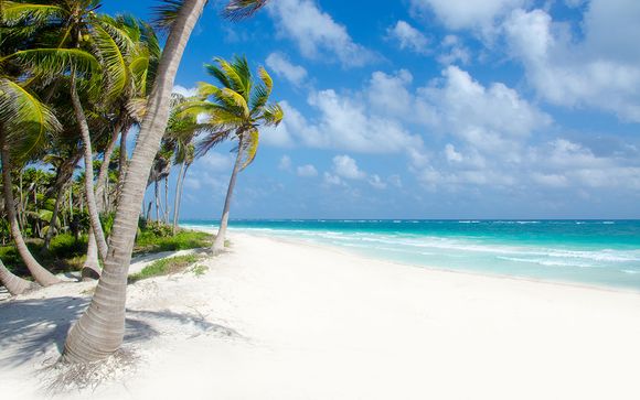 Alla scoperta della Riviera Maya