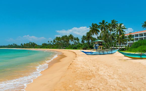 Tour privato dello Sri Lanka con estensione mare