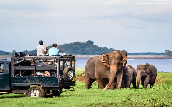 Tour dello Sri Lanka - L'itinerario