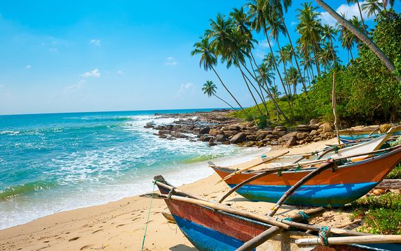 Tour alla scoperta dello Sri Lanka: da Colombo alla costa est