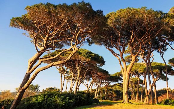Alla scoperta di Follonica