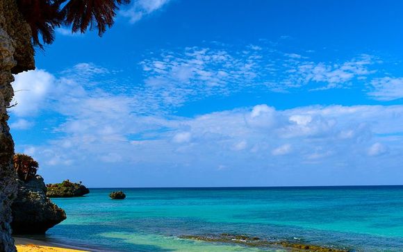 Le Spiagge Dellestate Di 7 E Le Vostre Lunga è La Festa A