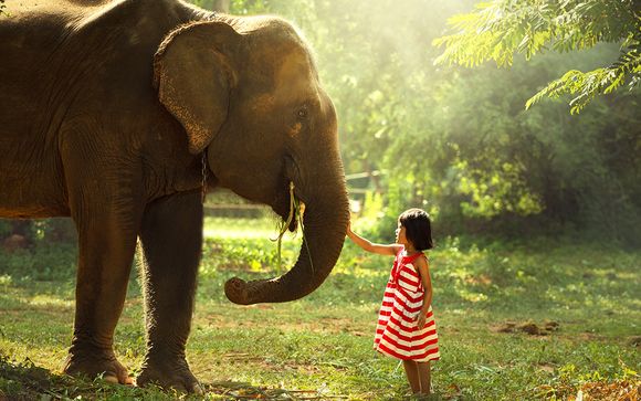 Le meraviglie naturali dello Sri Lanka e mare in 4/5*