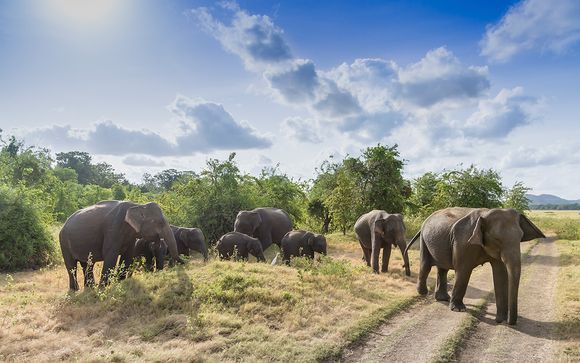 Sri Lanka - L'itinerario del tour