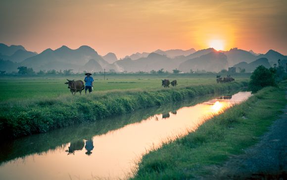Alla scoperta del Vietnam