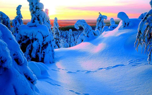 Lapponia, stelle ed Igloo