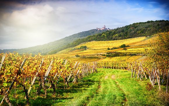 Alla scoperta di Ribeauvillé