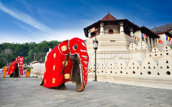 Esclusivo tour alla scoperta delle meraviglie dello Sri Lanka