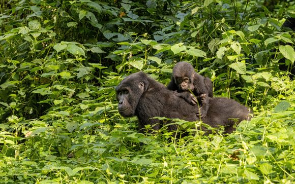Welkom in... Oeganda!