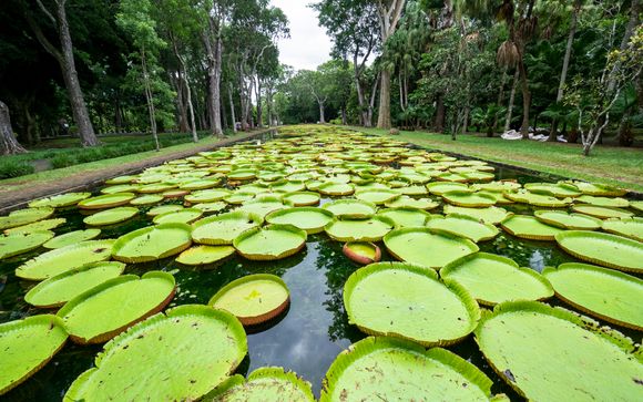 Inbegrepen excursies