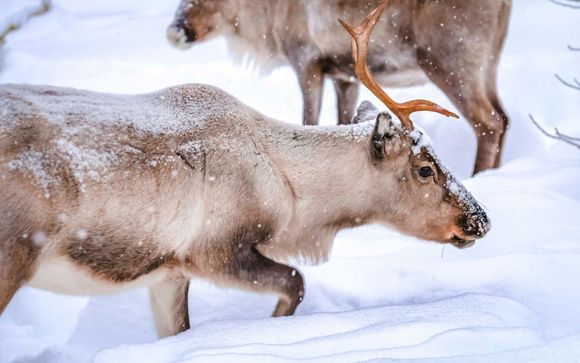 Kies voor extra opties