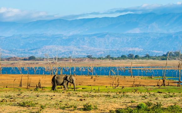 Welkom in... Sri Lanka!