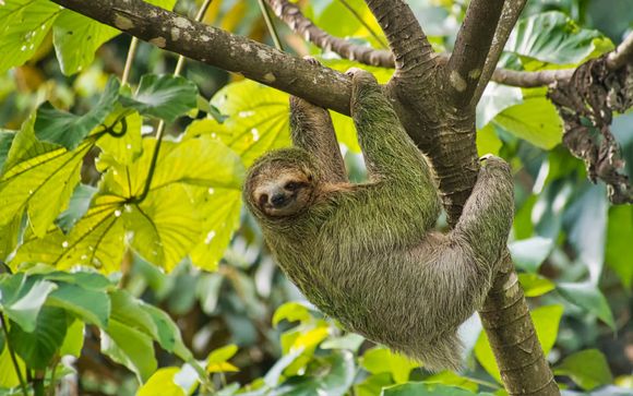 Je optionele excursies