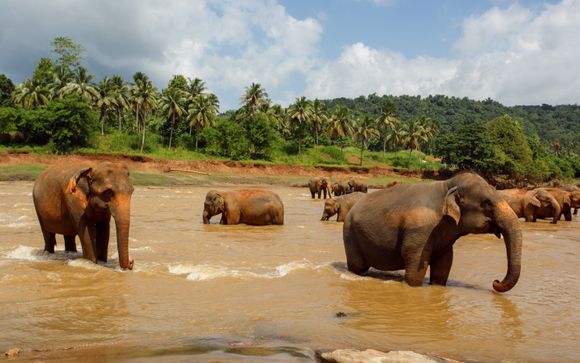 Kies voor een extra optie 