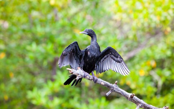 Kies voor een extra optie 