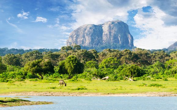 Kies voor een extra optie 