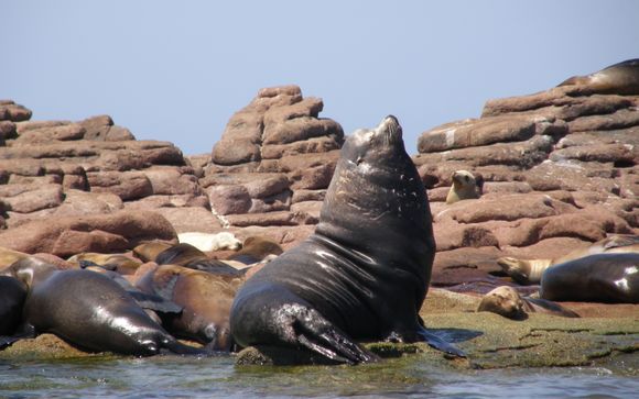 Inbegrepen excursies