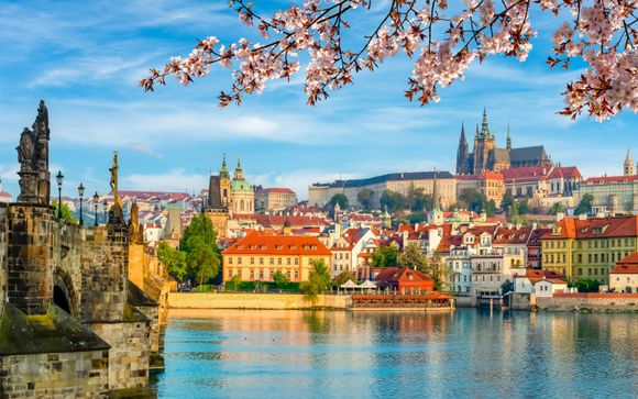 Cruise in detail