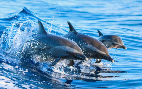 Kies voor extra opties