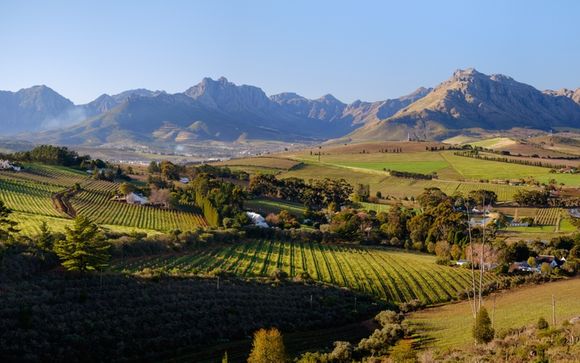 Uw optionele excursies