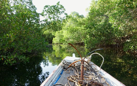 Uw optionele excursies